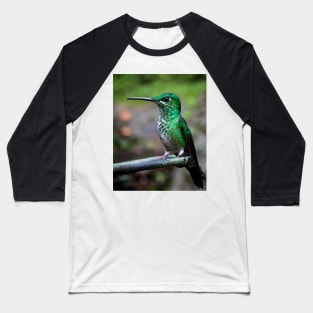 Green-crowned brilliant hummingbird Baseball T-Shirt